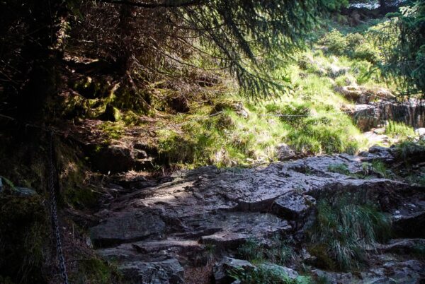 【高清参考图】277张挪威海岸岩石树林高清参考图片