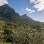 【高清参考图】154 张原始森林高清参考图片