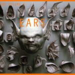 【3D笔刷资产包】40 个耳朵笔刷
