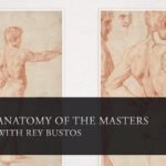 【中英双字】Rey Bustos 的人体结构解剖分析