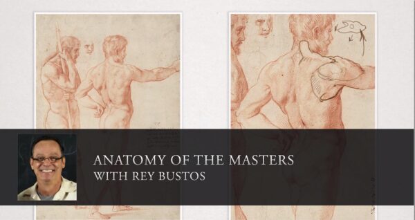 【中英双字】Rey Bustos 的人体结构解剖分析