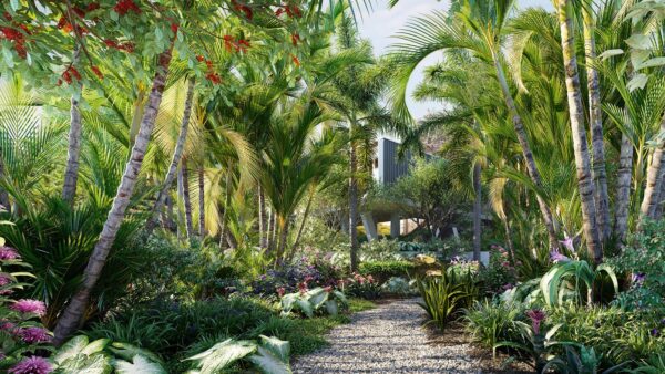 【Globe Plants】植被资产包 32 – 巴西家庭和花园植物