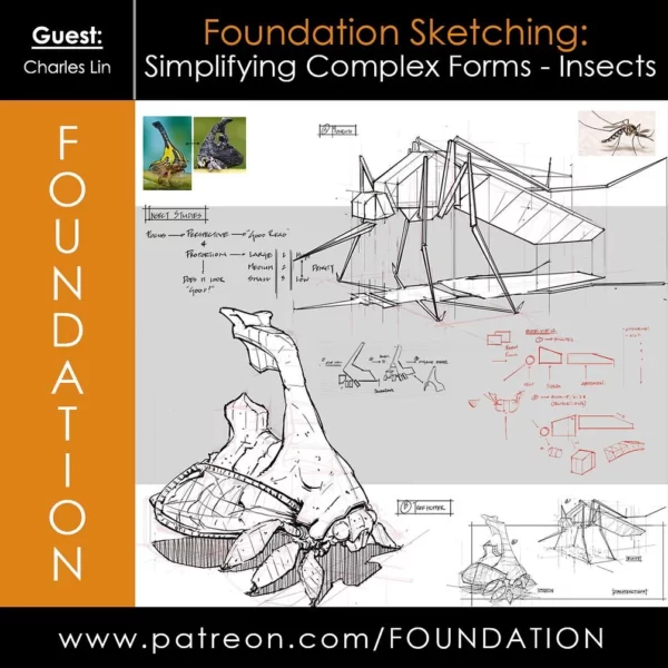 【中英双字】《Foundation Patreon》Charles Lin 的基础素描：简化复杂的形式昆虫