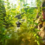 【Unreal Engine】植物物理交互式模组资产包