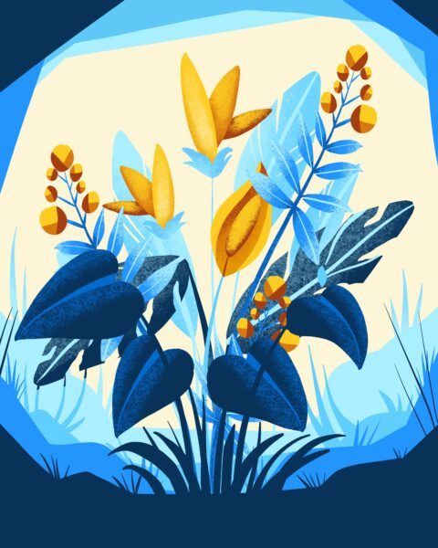 【中英双字】【Skill Share】Cristina Handre 在 Procreate 中设计受自然启发的植物成分作画